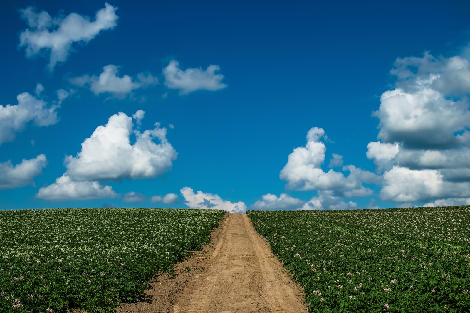 うつな気分が晴れる画像